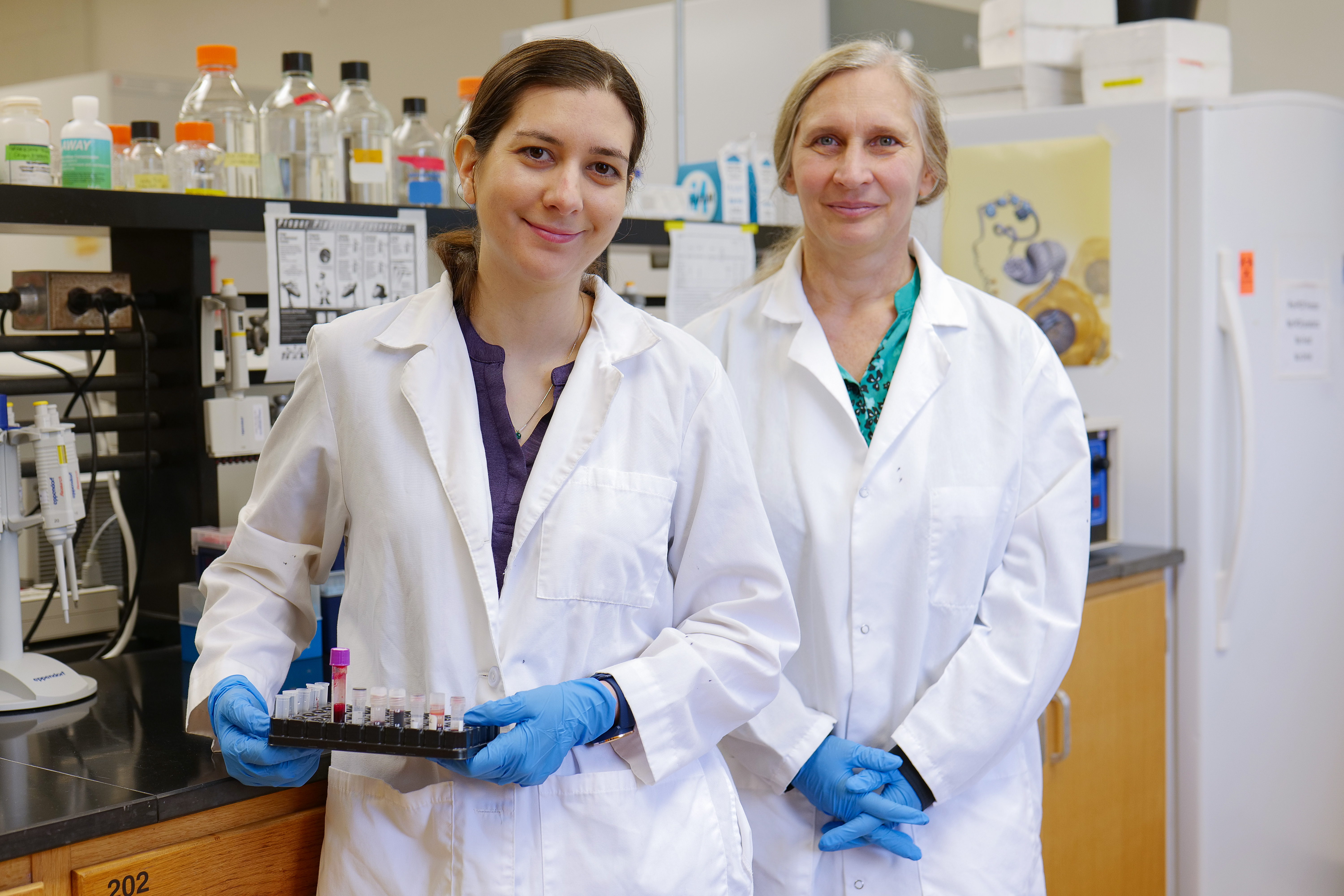 TAF to fund graduate student conducting genetic research on tigers 